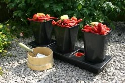 Triplegrow Planter Chillegrow -Outdoor garden care gstgp14