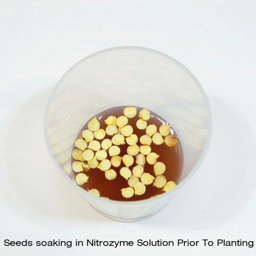 Nitrozyme 2 Nitrozyme - Image 2