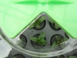 Hydropod Propagator -Outdoor garden care hycp11 1 4