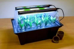 Hydropod Propagator -Outdoor garden care hycp2 4