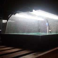 Monotop Propagator -Outdoor garden care image 100072