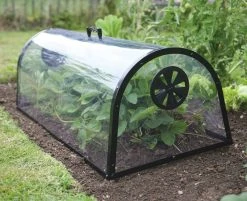 Kitchen Garden Cloche -Outdoor garden care image 103131