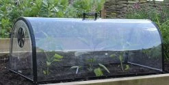Kitchen Garden Cloche -Outdoor garden care image 103137