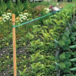 Birdscare 7 Birdscare -Outdoor garden care image 103930