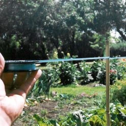 Birdscare 6 Birdscare -Outdoor garden care image 103931