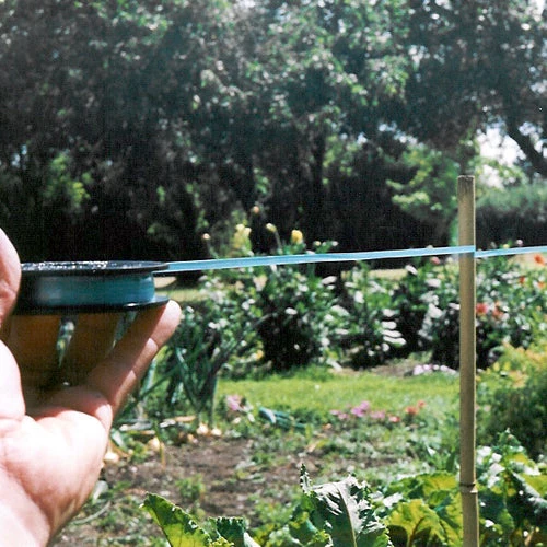 Birdscare 3 Birdscare - Image 3