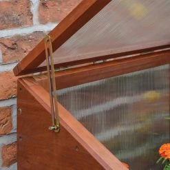 Rowlinson Hardwood Mini Greenhouse -Outdoor garden care image 106442