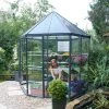 Palram Canopia Oasis Hexagonal 8ft Greenhouse