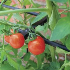 Tomato Crop-Booster Frame -Outdoor garden care image 108259