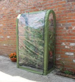 Tomato Crop-Booster Poly Cover -Outdoor garden care image 108474