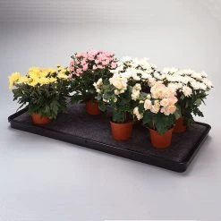 Self Watering Trays -Outdoor garden care image 135950