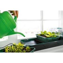 Bio Green Hollandia Self Watering Propagator -Outdoor garden care image 137059