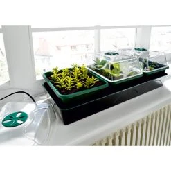 Bio Green Hollandia Self Watering Propagator -Outdoor garden care image 137060