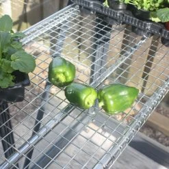 Greenhouse Integral Staging -Outdoor garden care image 138311