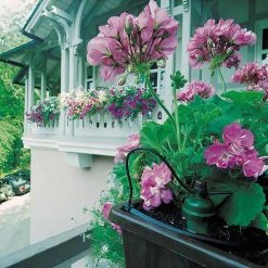 Tropf Blumat Mains Kit - Fitting To 19mm Threaded Tap -Outdoor garden care image 139452