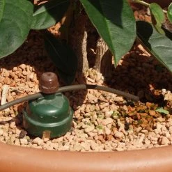 Tropf Blumat Mains Kit - Fitting To 19mm Threaded Tap -Outdoor garden care image 139453