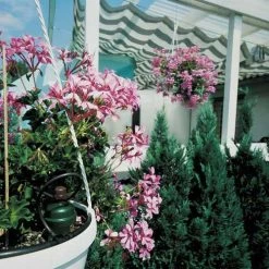 Tropf Blumat Tank Kit -Outdoor garden care image 139461