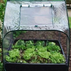 Large Raised Bed With Pop Up Mini Greenhouse -Outdoor garden care image 139577