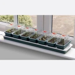 Window Sill Propagator With 14 Seed Trays And Covers