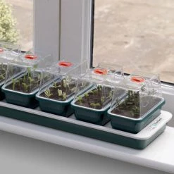 Window Sill Propagator With 14 Seed Trays And Covers -Outdoor garden care image 139609