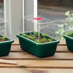 Window Sill Propagator With 14 Seed Trays And Covers -Outdoor garden care image 139613