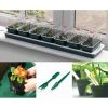 Special Offer Propagation Starter Set