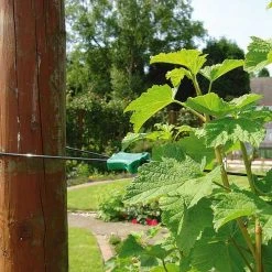 Gripple Plant Support System Starter Pack 23 Gripple Plant Support System Starter Pack -Outdoor garden care image 140149