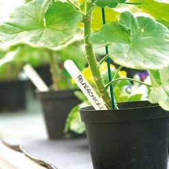 White Plastic Labels