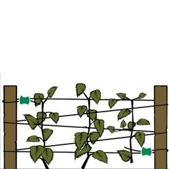 Gripple Plant Support System Starter Pack 33 Gripple Plant Support System Starter Pack -Outdoor garden care image 64692