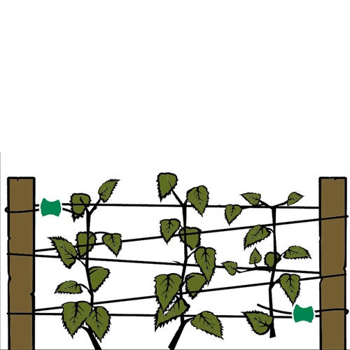 Gripple Plant Support System Starter Pack 16 Gripple Plant Support System Starter Pack - Image 16