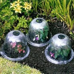 Baby Bells Pack Of 3 -Outdoor garden care image 65784