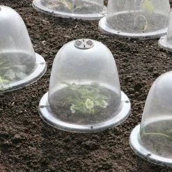 Pack Of 3 Popular Bells