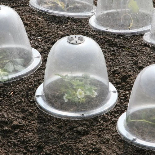 Pack Of 3 Popular Bells 1 Pack Of 3 Popular Bells