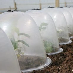 Pack Of 3 Popular Bells 14 Pack Of 3 Popular Bells -Outdoor garden care image 65855