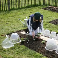 Pack Of 3 Popular Bells 12 Pack Of 3 Popular Bells -Outdoor garden care image 65857