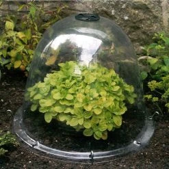 Pack Of 3 Popular Bells 11 Pack Of 3 Popular Bells -Outdoor garden care image 65858