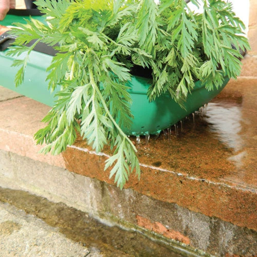 Colander Trug 3 Colander Trug - Image 3