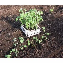 Compact Plant Trainer 14 Compact Plant Trainer -Outdoor garden care image 65988