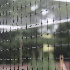 2m Wide Bird Netting Per Metre -Outdoor garden care image 82419