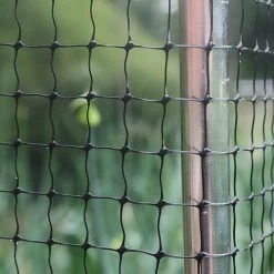 2m Wide Bird Netting Per Metre -Outdoor garden care image 82420