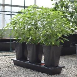 Triplegrow Planter Chillegrow -Outdoor garden care image 83438