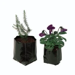 Polythene Pots 5 Polythene Pots -Outdoor garden care image 86782