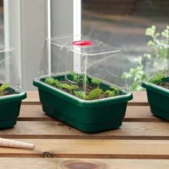 Window Sill Propagator -Outdoor garden care image 86969