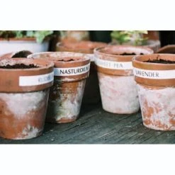 Laminated Tape For Garden Labeller 7 Laminated Tape For Garden Labeller -Outdoor garden care image 88766