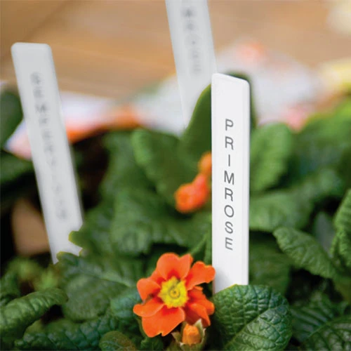 Laminated Tape For Garden Labeller 2 Laminated Tape For Garden Labeller - Image 2