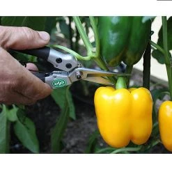 Darlac Compact Snips -Outdoor garden care image 88939