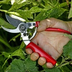 Darlac Professional Secateurs 7 Darlac Professional Secateurs -Outdoor garden care image 88996