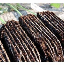 Rootrainers -Outdoor garden care image 91392