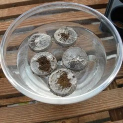 Jiffy 7 Pellets 10 Jiffy 7 Pellets -Outdoor garden care jb5