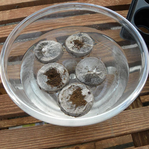 Jiffy 7 Pellets 5 Jiffy 7 Pellets - Image 5